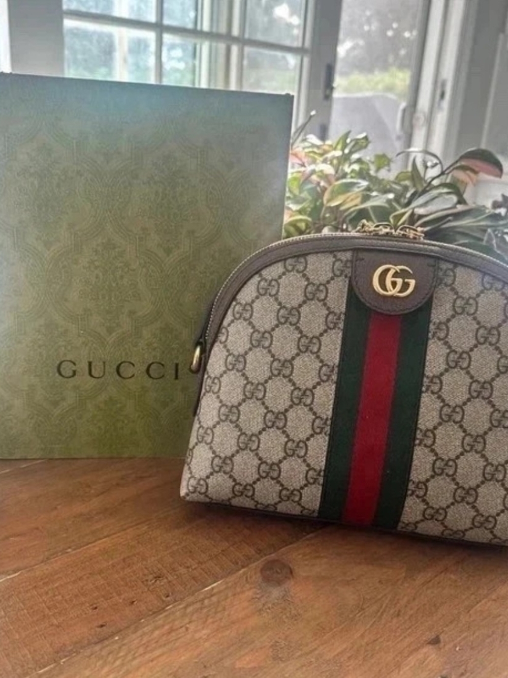 Gucci GG Supreme Canvas Web Stripe Cosmetic Pouch - Brown/Beige with Red & Green